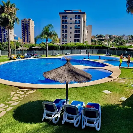 Seahorse Calpe